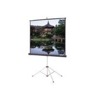 Da-Lite 30658 Picture King Tripod Screen (96x96 Inch Video Spectra)