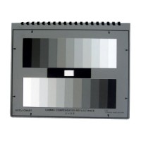 Accu-Chart GSG11 11 Step Grey Scale Chart