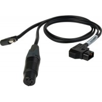 Camplex BLACKJACK 4-Pin XLR Female & 2.5mm DC Plug to P-TAP Y-Cable - 18-Inch