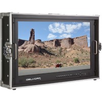 Delvcam DELV-4KSDI28 4K UHD HDMI 3G-SDI Quad View Broadcast LCD in  28 inch Case