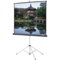 Da-Lite 69905 Carpeted Picture King Screen-Matte White Surface 96x96