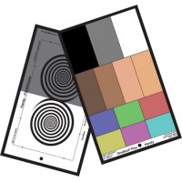 DSC Labs HOSP Handy OneShot Plus-6 Colors/4 Skin Tones/Fiddle Heads/Lanyard