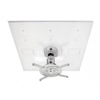 Universal Projector Drop-in Ceiling  
