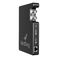 BDSTUM01 BirdDog Studio SDI/HDMI Network Device Interface Converter (Standard)